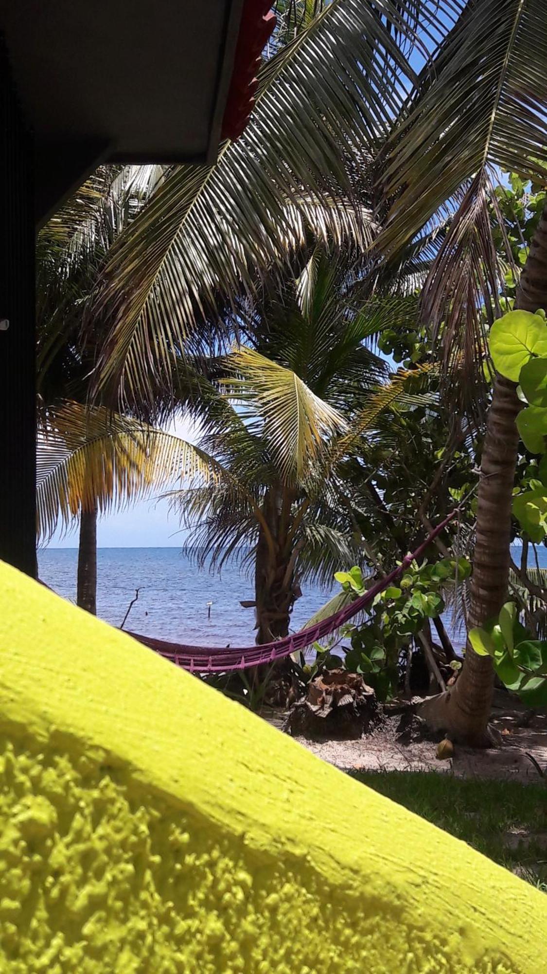 Margarita Del Sol Hotel Costa Maya Mahahual Exterior foto